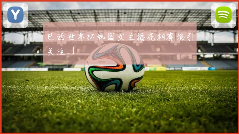 巴西世界杯韩国女主播亮相赛场引关注_1