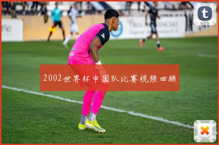 2002世界杯中国队比赛视频回顾